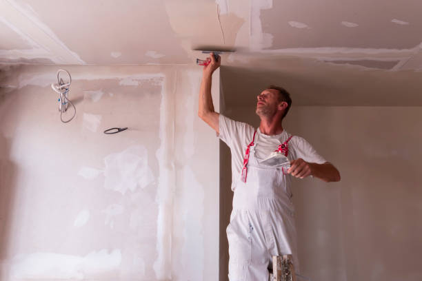 Best Wallpaper Removal and Painting  in Harbor Springs, MI